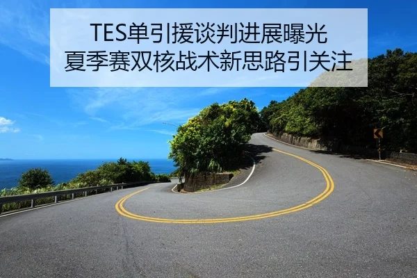 TES单引援谈判进展曝光 夏季赛双核战术新思路引关注
